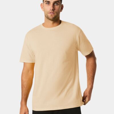 Softstyle Midweight Adult Short Sleeve T-Shirt Thumbnail