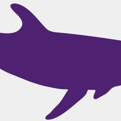 AR DOLPIN 12 RC Thumbnail