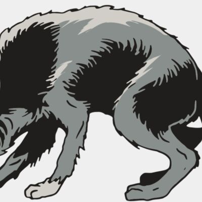 AR32 COYOTE 05 RQC Thumbnail