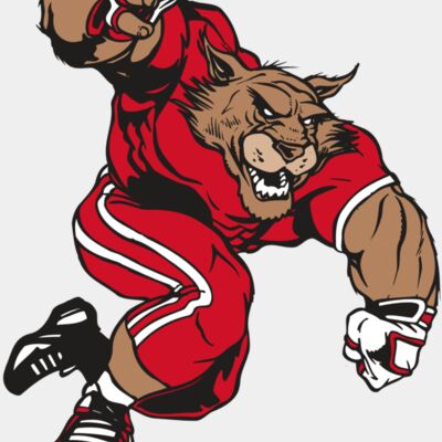 AR WILDCAT 32 RC Thumbnail