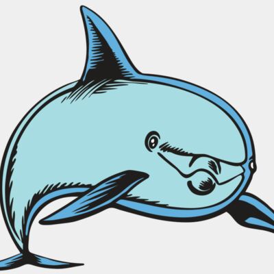 BAW DOLPHIN 04 RC Thumbnail