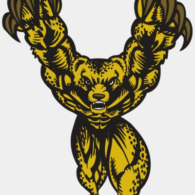 BAW CHEETAH 09 RC Thumbnail