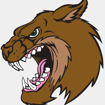 AR5 BOBCAT 18 RQC Thumbnail