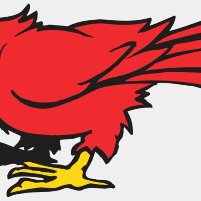 AR CARDINAL 11 RC Thumbnail