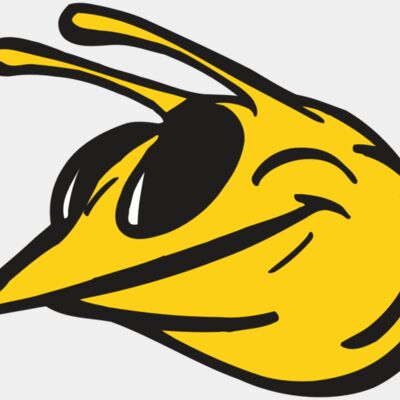 AR5 Bee 25 RQC Thumbnail