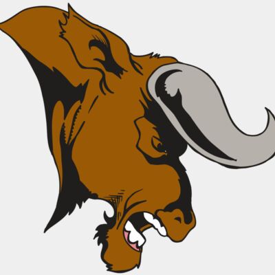 AR5 BULL 07 RQC Thumbnail