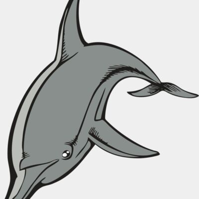 BAW DOLPHIN 03 RC Thumbnail