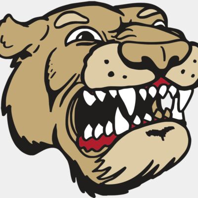 AR5 COUGAR 04 RQC Thumbnail