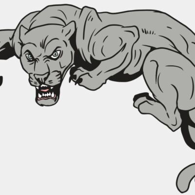 AR10 PANTHER 02 RQC Thumbnail