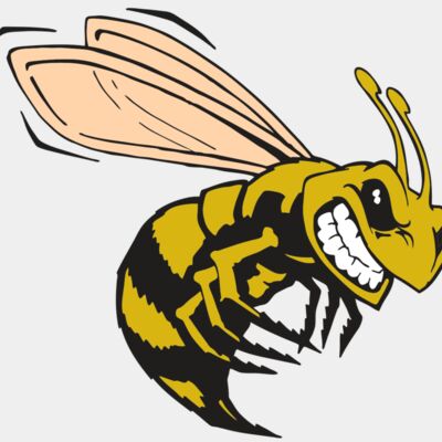 AR BEE 50 RC Thumbnail