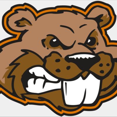 AR BEAVER 11 RC Thumbnail