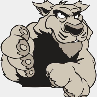 AR5 COUGAR 21 RQC Thumbnail