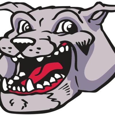 AR BDOG 24 RC Thumbnail