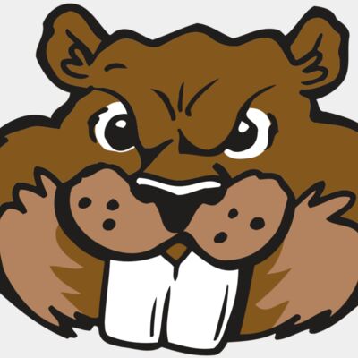 AR BEAVER 10 RC Thumbnail