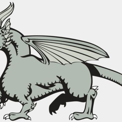 BAW DRAGON 20 RC Thumbnail