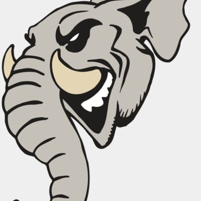 AR5 Elephant 11 RQC Thumbnail