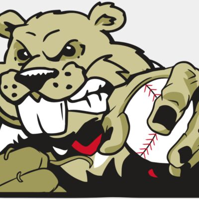 AR4 BEAVER 06 RQC Thumbnail