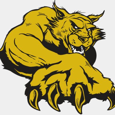 AR WILDCAT 26 RC Thumbnail