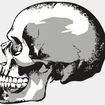 AR24 SKULL 02 RQC Thumbnail