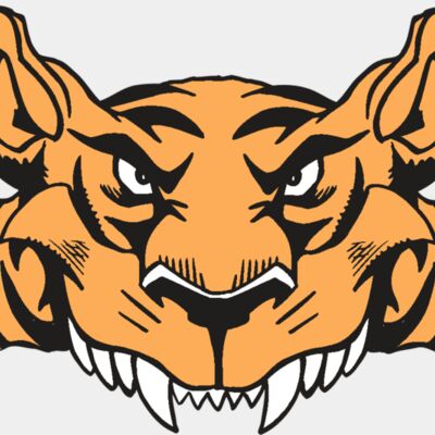 AR5 Tiger 07 RQC Thumbnail