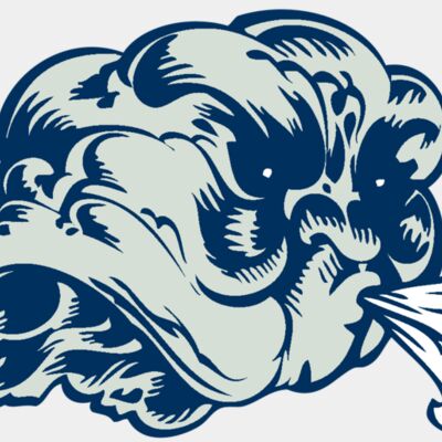 BAW STORM 05 RC Thumbnail