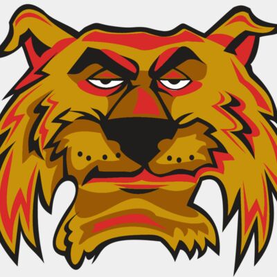 WILDCAT HD0503 RQC Thumbnail