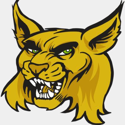 AR30 WILDCAT 03 RQC Thumbnail