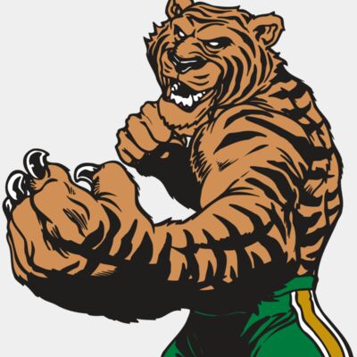 AR TIGER 64 RC Thumbnail