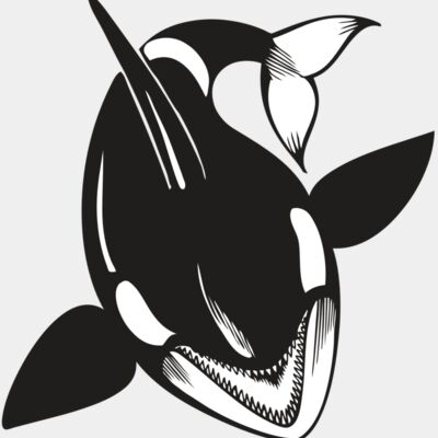 BAW KLRWHALE 01 RC Thumbnail