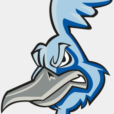 ROADRUNNER HD0501 RQC Thumbnail