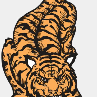 BAW TIGER 01 RC Thumbnail