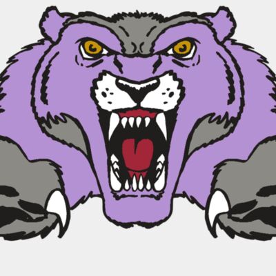 AR WOLVERINE 17 RC Thumbnail