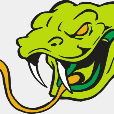 AR SNAKE 11 RC Thumbnail