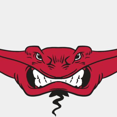 AR19 STINGRAY 03 RQC Thumbnail