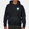Heavy Blend Adult Hooded Sweatshirt Thumbnail
