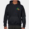 Heavy Blend Adult Hooded Sweatshirt Thumbnail