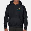 Heavy Blend Adult Hooded Sweatshirt Thumbnail