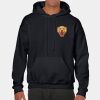 Heavy Blend Adult Hooded Sweatshirt Thumbnail