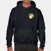 Heavy Blend Adult Hooded Sweatshirt Thumbnail