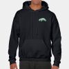 Heavy Blend Adult Hooded Sweatshirt Thumbnail
