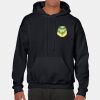 Heavy Blend Adult Hooded Sweatshirt Thumbnail