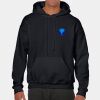 Heavy Blend Adult Hooded Sweatshirt Thumbnail