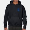 Heavy Blend Adult Hooded Sweatshirt Thumbnail