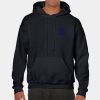 Heavy Blend Adult Hooded Sweatshirt Thumbnail