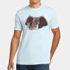 Apparel ® Unisex Cotton Tee Thumbnail